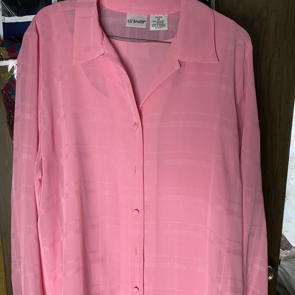 Liz Baker sheer blouse